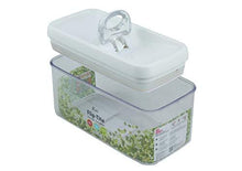 Load image into Gallery viewer, FELLI Flip-Tite Air Tight, Acrylic BPA Free, Rectangular Storage Transparent Container 1.0L NLG4804A (5065334685827)