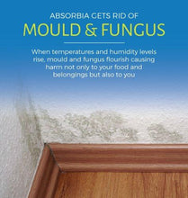 Load image into Gallery viewer, Absorbia Sachet Pack of 3 X 100 gm sachets (5065348939907)