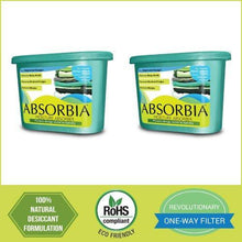 Load image into Gallery viewer, Absorbia Moisture Absorber Classic (5065348710531)