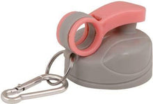 Load image into Gallery viewer, DUBBLIN Trendy 700 Pink HOT &amp; Cold Duro Steel VACCUM Flask Insulated Water Bottle by ASHA &amp; Agency (5065360343171)
