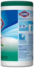 Load image into Gallery viewer, Clorox Disinfecting Wipes, Fresh Scent, 75 Count Canister (5065351626883)
