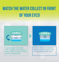 Load image into Gallery viewer, Absorbia Moisture Absorber Classic (5065348710531)
