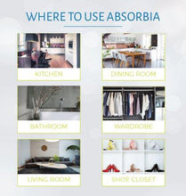 Load image into Gallery viewer, Absorbia Moisture Absorber Classic (5065348710531)
