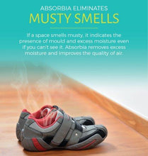 Load image into Gallery viewer, Absorbia Moisture Absorber Classic (5065348710531)
