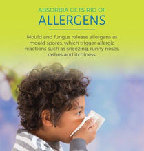 Load image into Gallery viewer, Absorbia Sachet Pack of 3 X 100 gm sachets (5065348939907)
