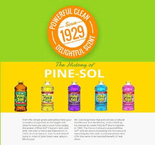 Load image into Gallery viewer, Clorox Pine Sol Multi-Surface All Purpose Scented Floor Cleaner, 828 ml, SPARKLING WAVE (5065346613379)
