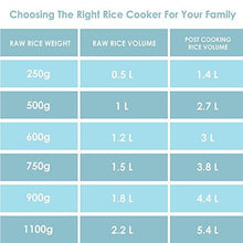 Load image into Gallery viewer, Panasonic SR-WA22H(E) 5.4-Litre Automatic Rice Cooker (Apple Green) (5065337274499)
