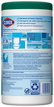Load image into Gallery viewer, Clorox Disinfecting Wipes, Fresh Scent, 75 Count Canister (5065351626883)

