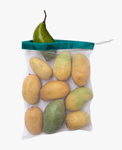 Load image into Gallery viewer, Sorta Fridge Bags, Pack of 5 (5065327673475)
